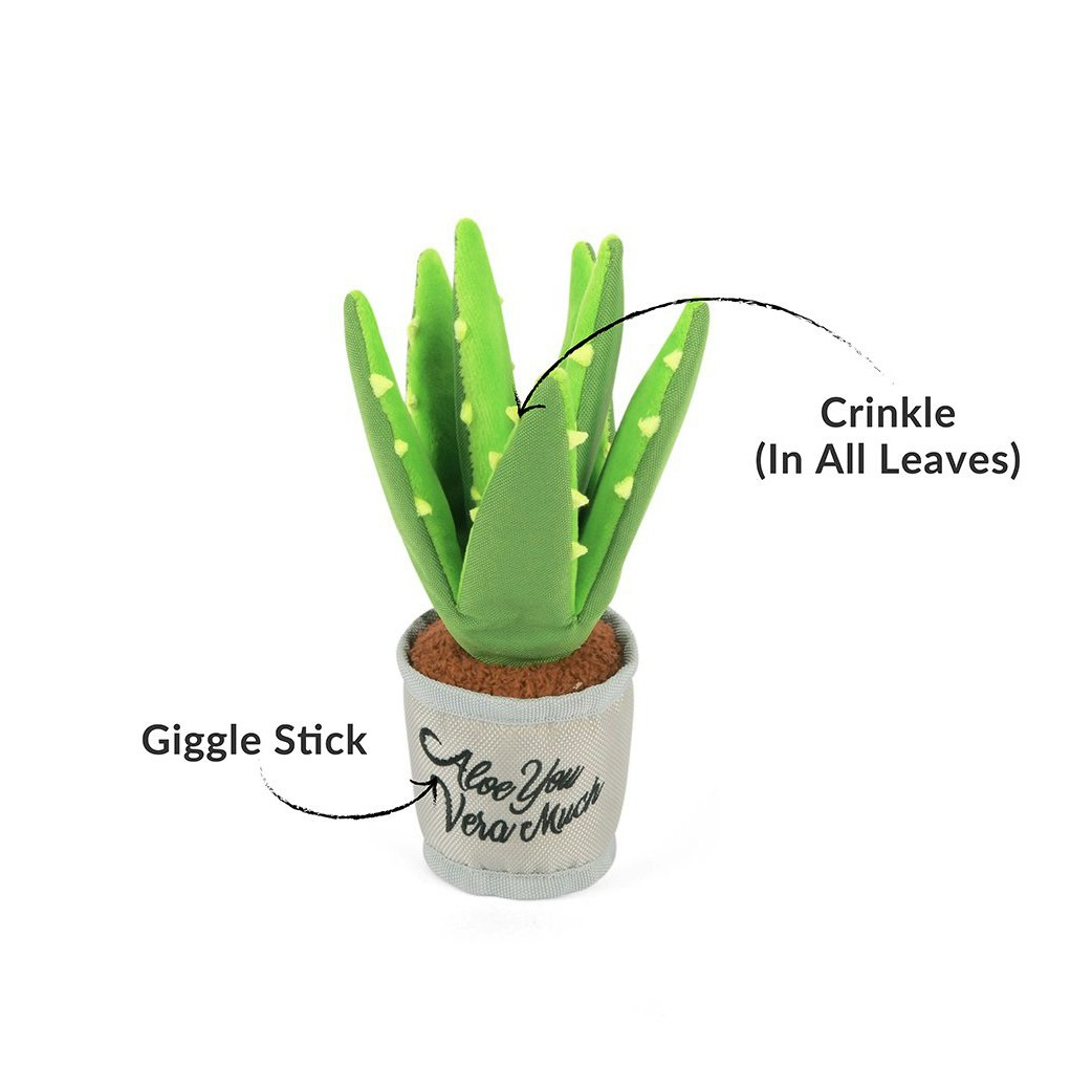 Aloe-Ve You Plant Hundleksak