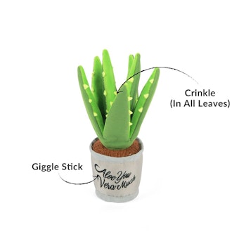 Aloe-Ve You Plant Hundleksak