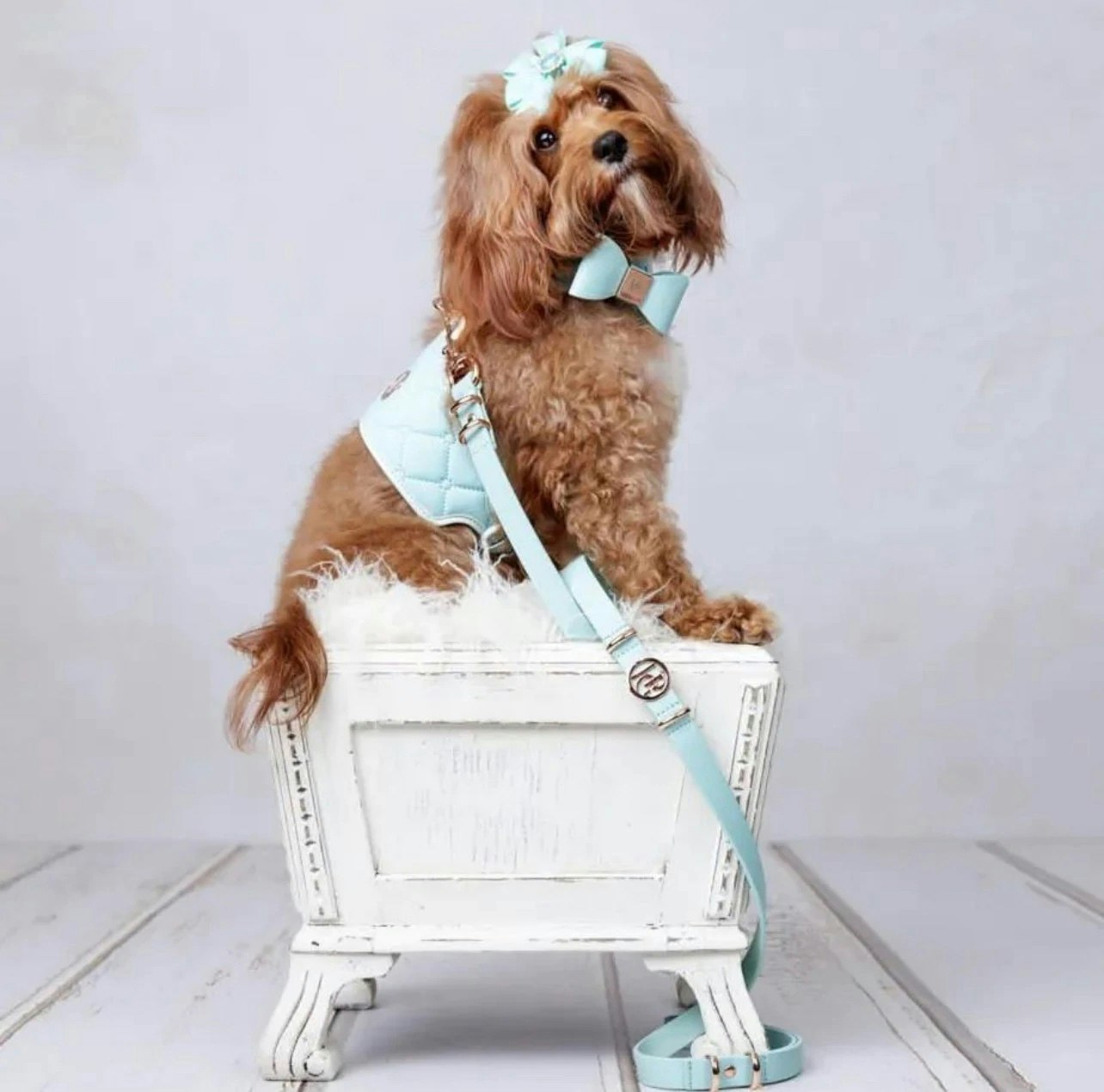 Hundhalsband PU-Leather Bow Collar, Aquamarine