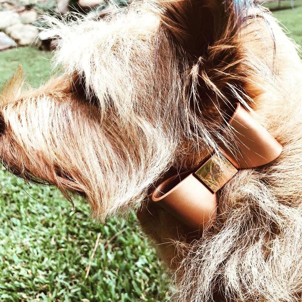 Hundhalsband PU-Leather Bow Collar, Cinnamon