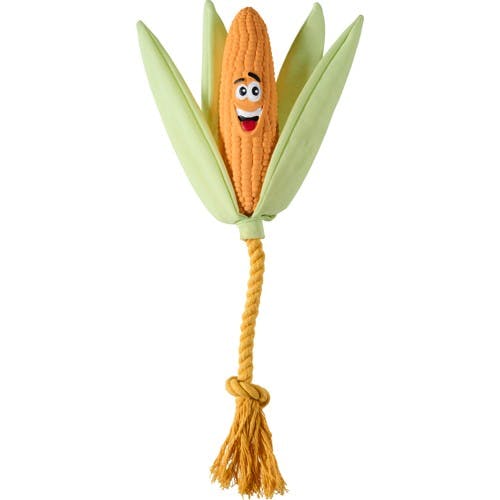 Companion squeaker Corn