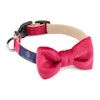 Halsband Bow-tie Magenta