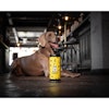 Pawse Dog Beer 33 cl