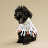 Rainbow Fringe Alpaca Dog Poncho