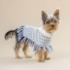 Sofia Light Blue Alpaca Dog Poncho