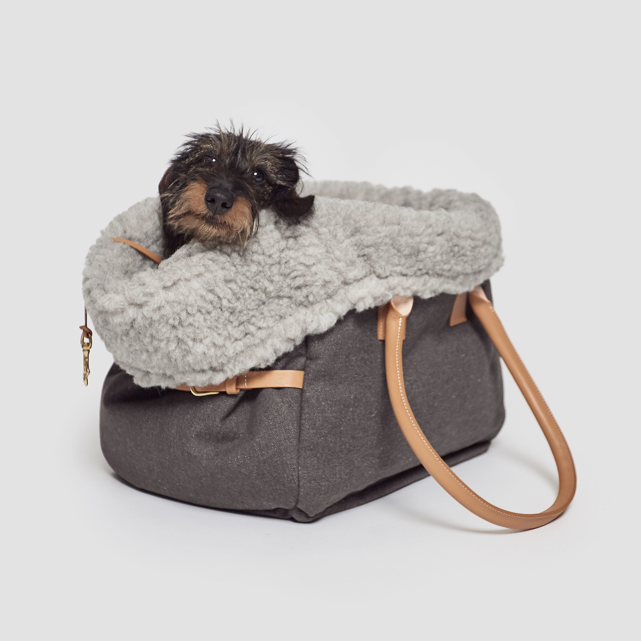 Cloud7 Dog Carrier Como