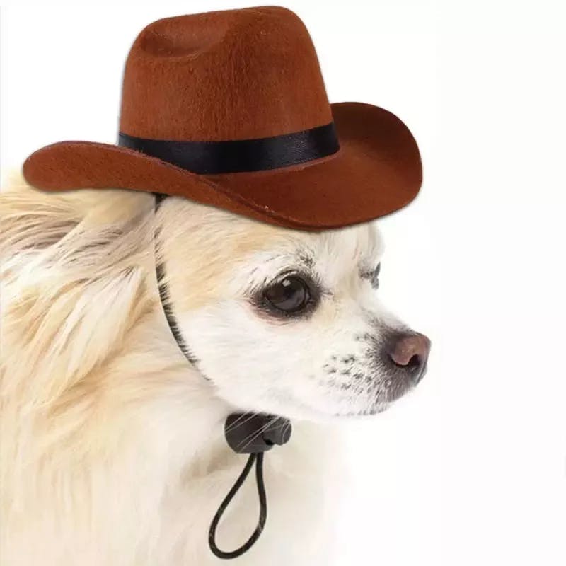 Cowboy hatt till hund och katt