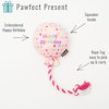 PetLondon Birthday Balloon Pink Hundleksak
