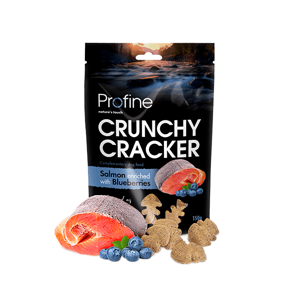 Profine Dog Crunchy Cracker Lax & Blåbär 150g