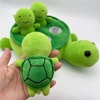 Turtle Mom & Babies activity