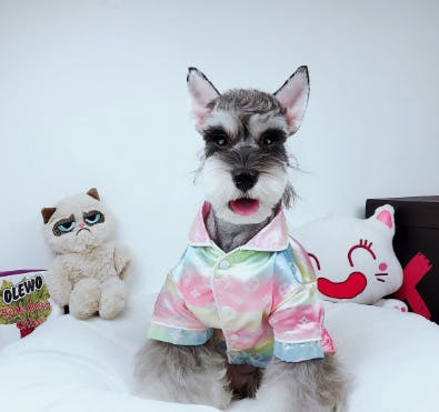 Hundskjorta Silky Fashion Ombre