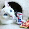 Kittybelles Pizza Kattleksak med Catnip