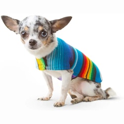 Mexican Poncho Hundkläder