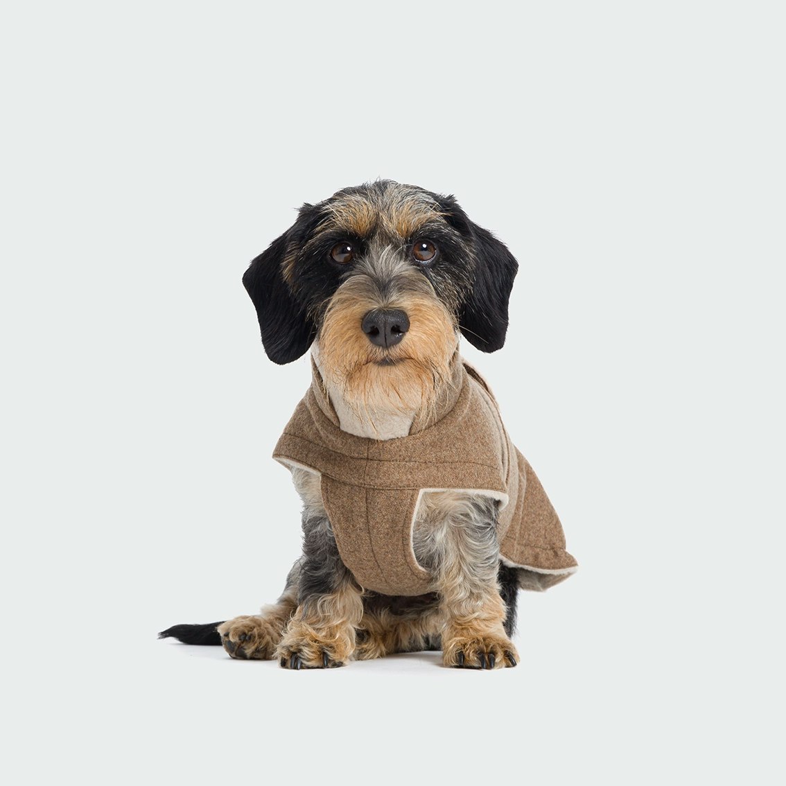 Cloud7 Dog Coat Brooklyn Tax Flannel Hazel