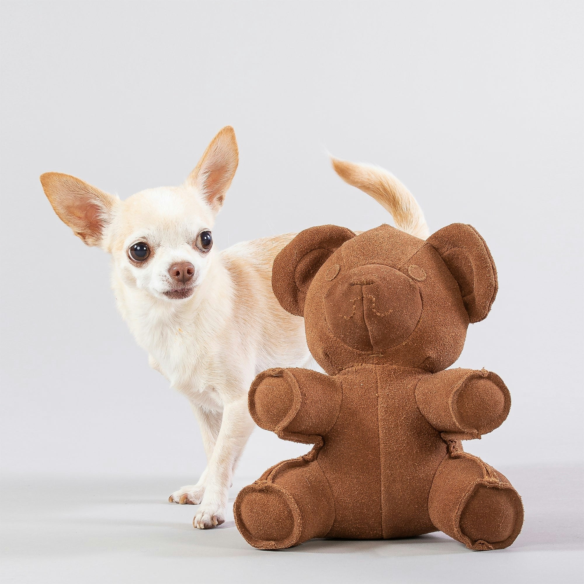 Paikka Teddy Toy for Dogs