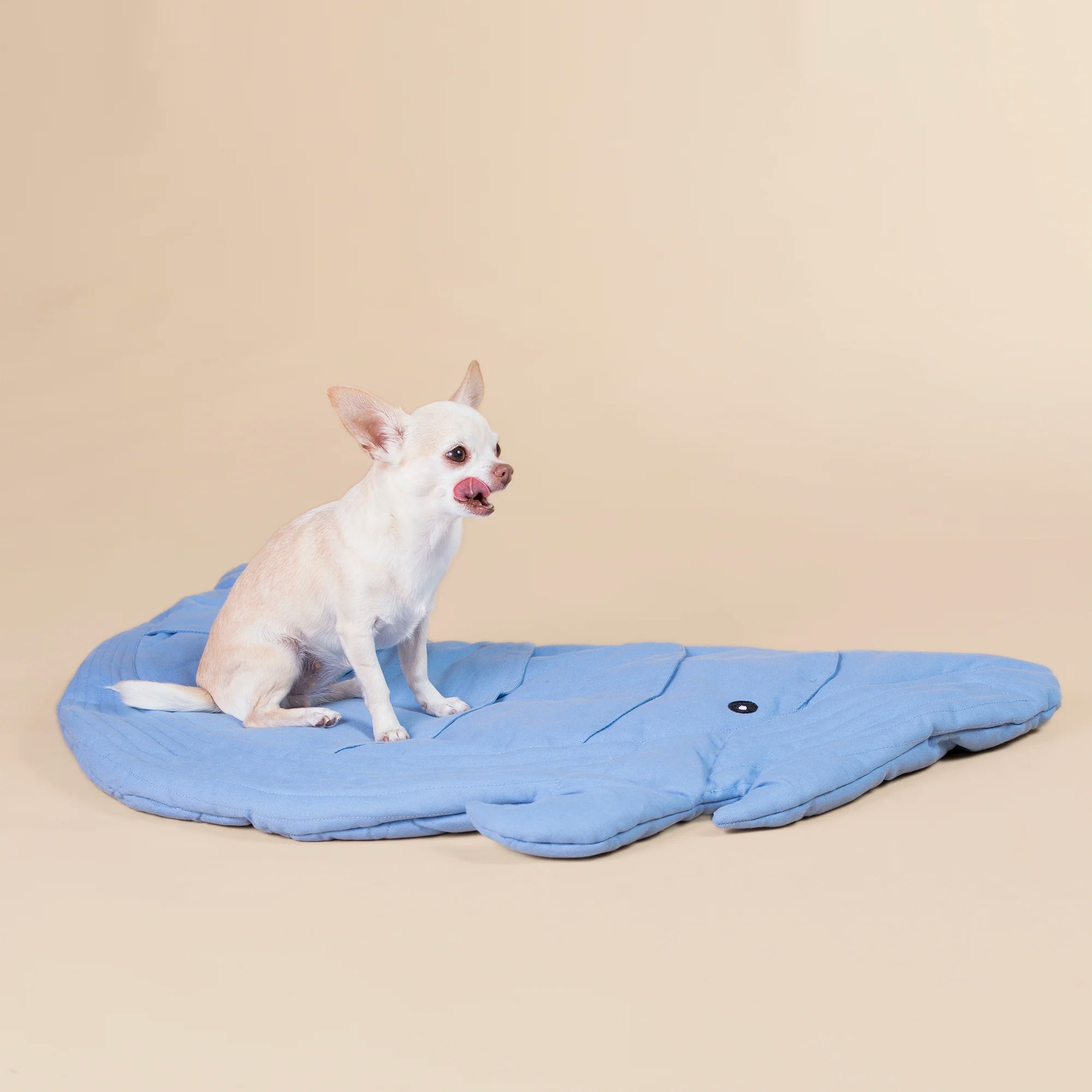 Paikka Playmat for Dogs, Whale
