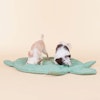 Paikka Playmat for Dogs, Turtle
