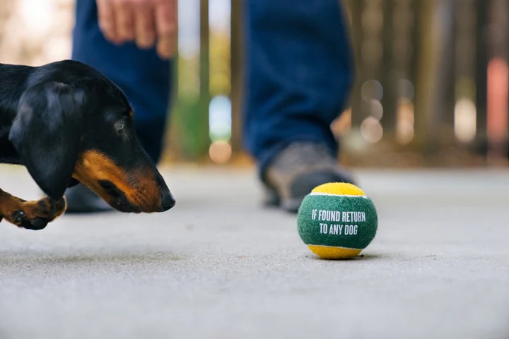 Tennisbollar till hund 4-pack