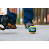 Tennisbollar till hund 4-pack