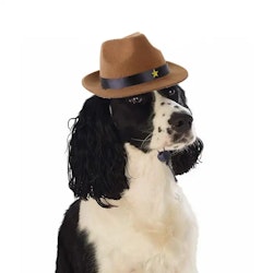 Cowboy Hatt för Hund