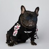 Woof Hoodie Black Floral