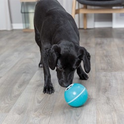 Snacksboll, plast, ø 7.5 cm, blå