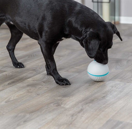 Snacksboll, plast, ø 11 cm, glå