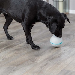 Snacksboll, plast, ø 11 cm, glå