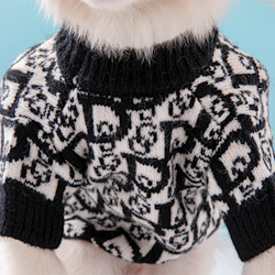 Dogior Sweater