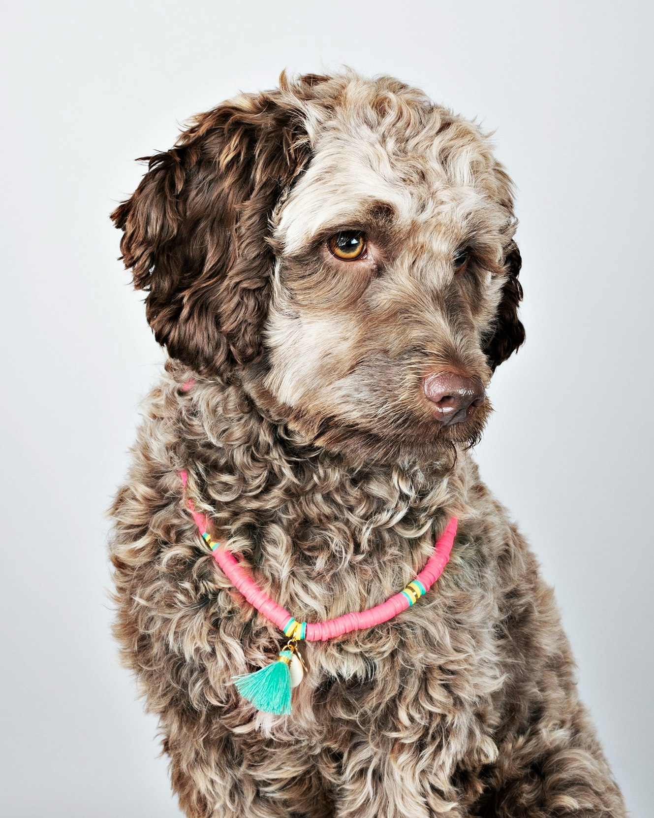 DWAM - Dog with a Mission Bondi Beach Necklace