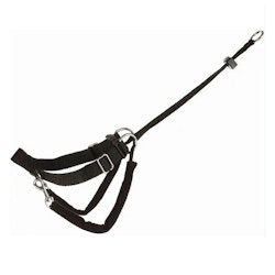 Training Harness