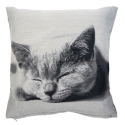 Cushion Cover Sleeping Cat