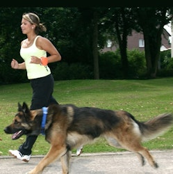 Hands Free/Wrist Leash black