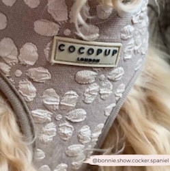 Cocopup London Mocha Flower Bandana