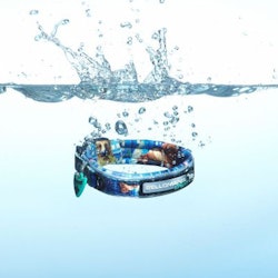 Bellomania BelloHero Hundhalsband Blue