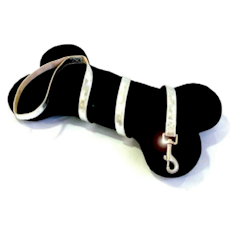 Glossy Leash Silver