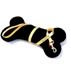 Glossy Leash Gold