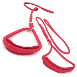 Show Leash Nylon Red Leather details