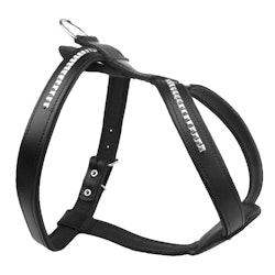 Leather Harness with studs - Black