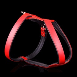 Leather Harness - Red