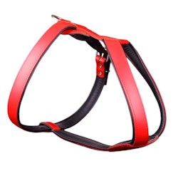 Leather Harness - Red