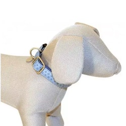 Soft Collar Light Blue