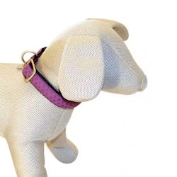 Soft Collar Purple