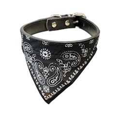 Paisley Bandana på Halsband, Svart