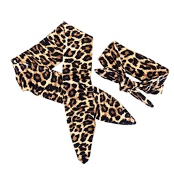 Dog & Owner Headband Leo