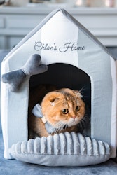 Dog House Monte Carlo Grey
