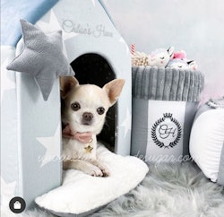 Leksakslåda till hund, Monte Carlo Grey
