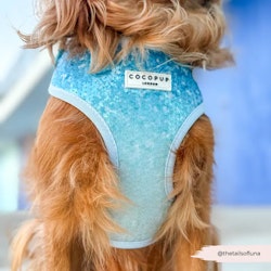 Cocopup London Seaside Shimmer Hundsele