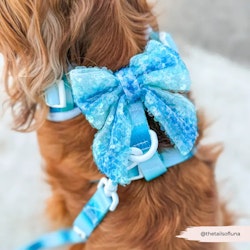 Cocopup London Seaside Shimmer Sailor Bow