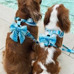 Cocopup London Seaside Shimmer Bowtie